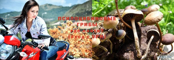Альфа ПВП Богданович